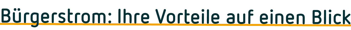 vorteile buergeroekostrom